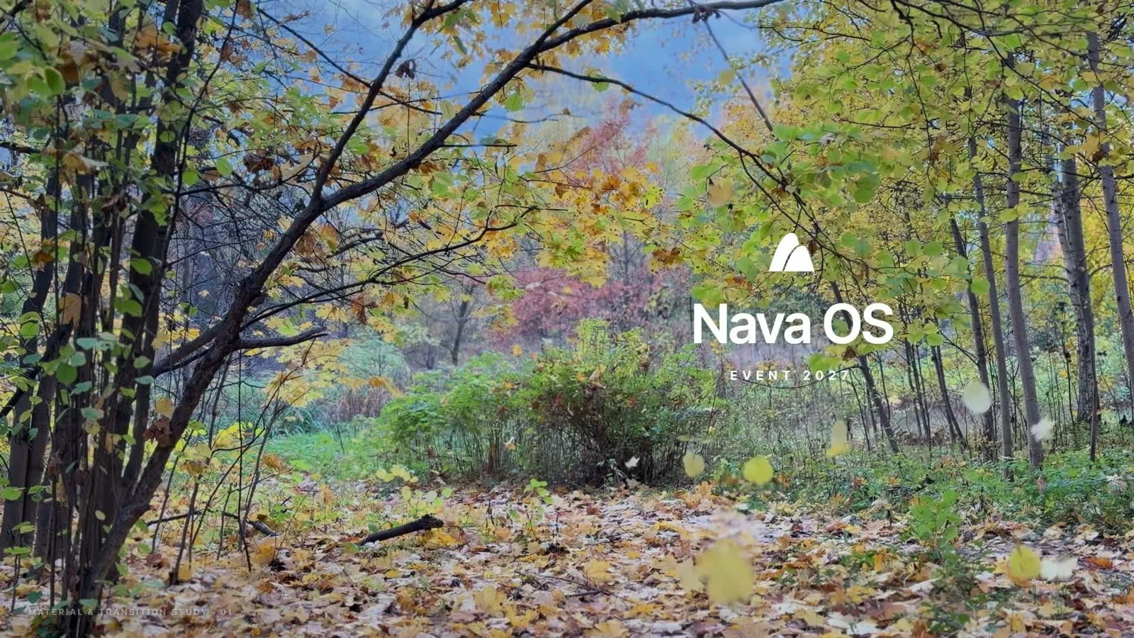 Nava OS Event 2027 visual study, set among sunlit trees